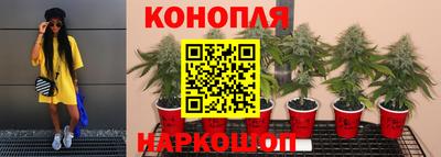 прущая мука Керчь